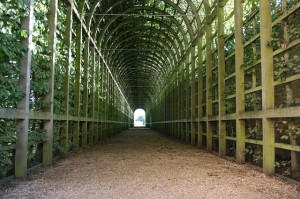 green-tunnel-252853_640